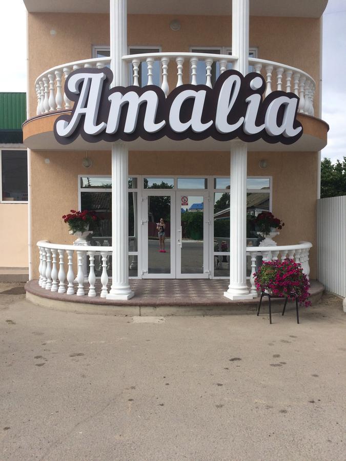 Amalia Hotel Zaliznyy Port Bagian luar foto