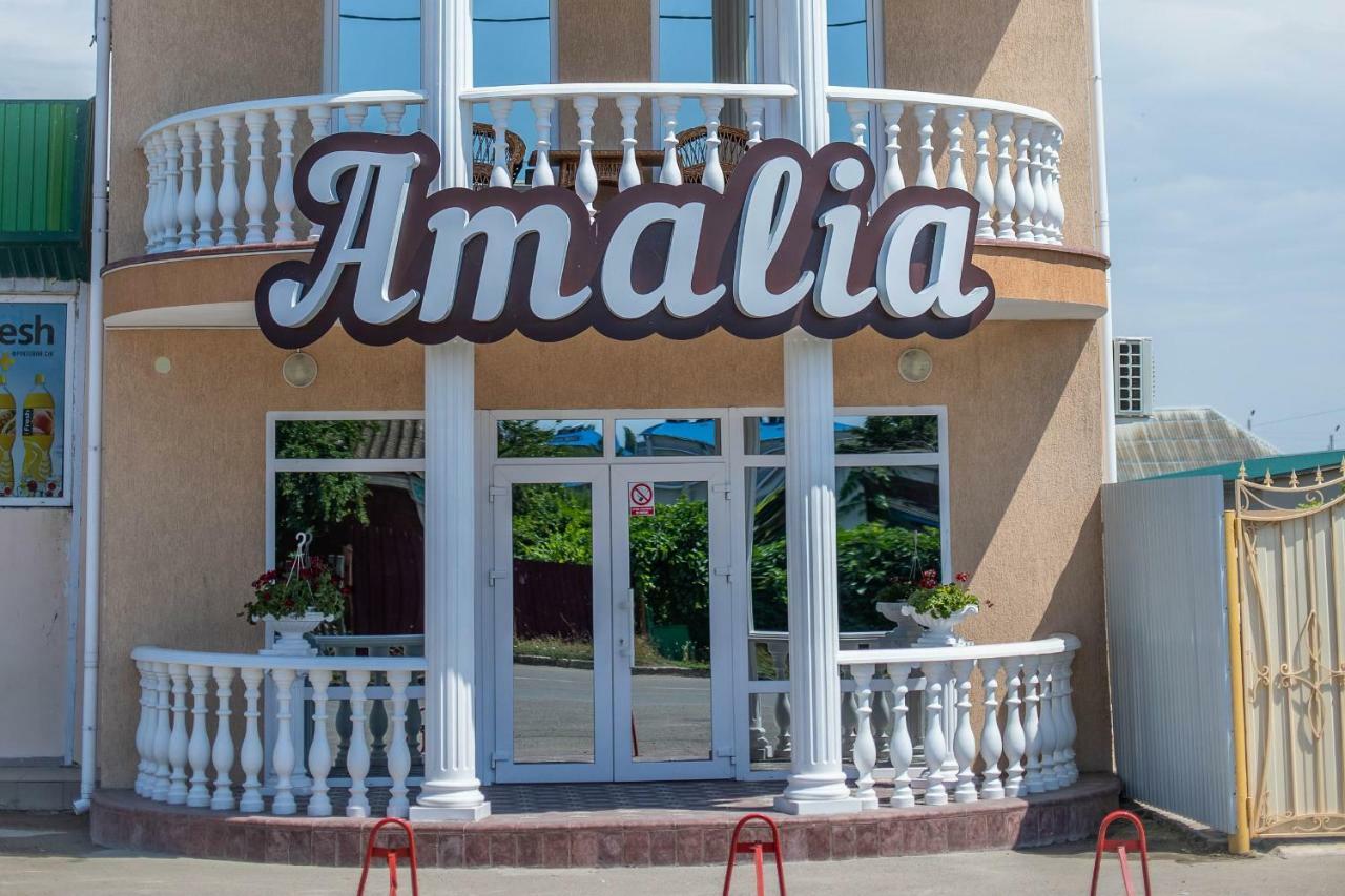 Amalia Hotel Zaliznyy Port Bagian luar foto