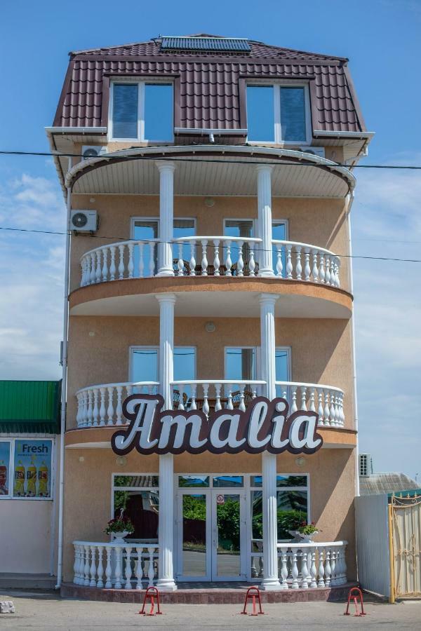 Amalia Hotel Zaliznyy Port Bagian luar foto